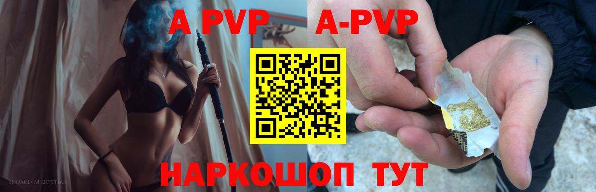 Alfa_PVP СК КРИС Беслан