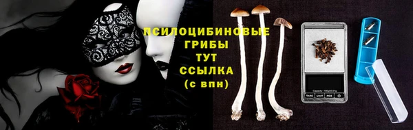 спайс Белокуриха