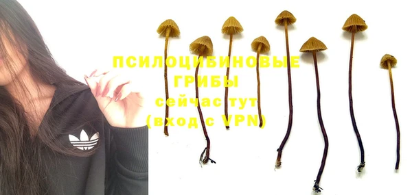герыч Михайловка