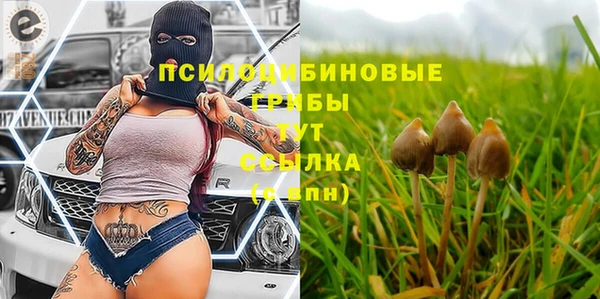 Альфа ПВП Беломорск