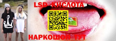 амфетамин Аргун